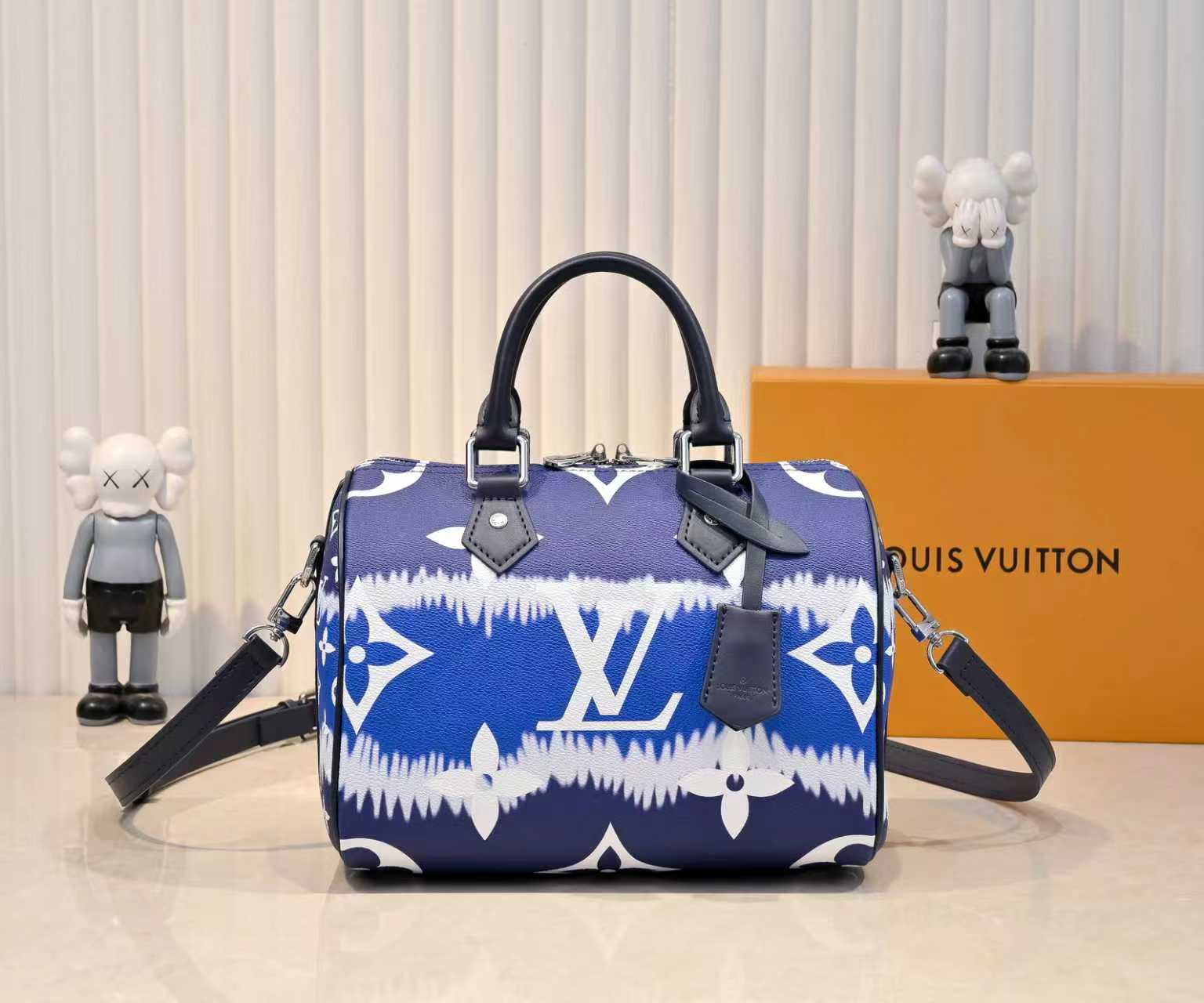 Lv Speedy Pillow Bag