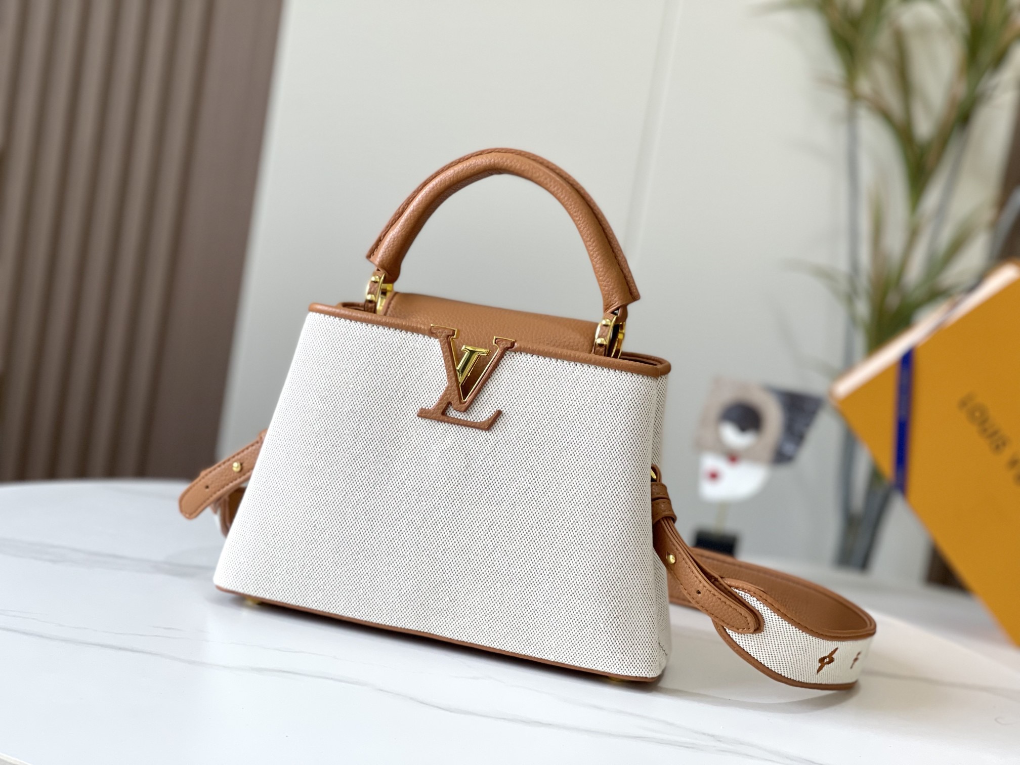 LV Capucines Handbag