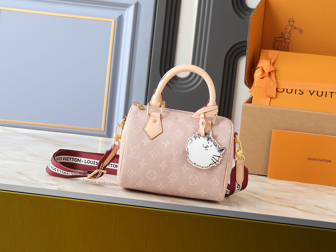 LV Speedy 20 Shoulder Bag