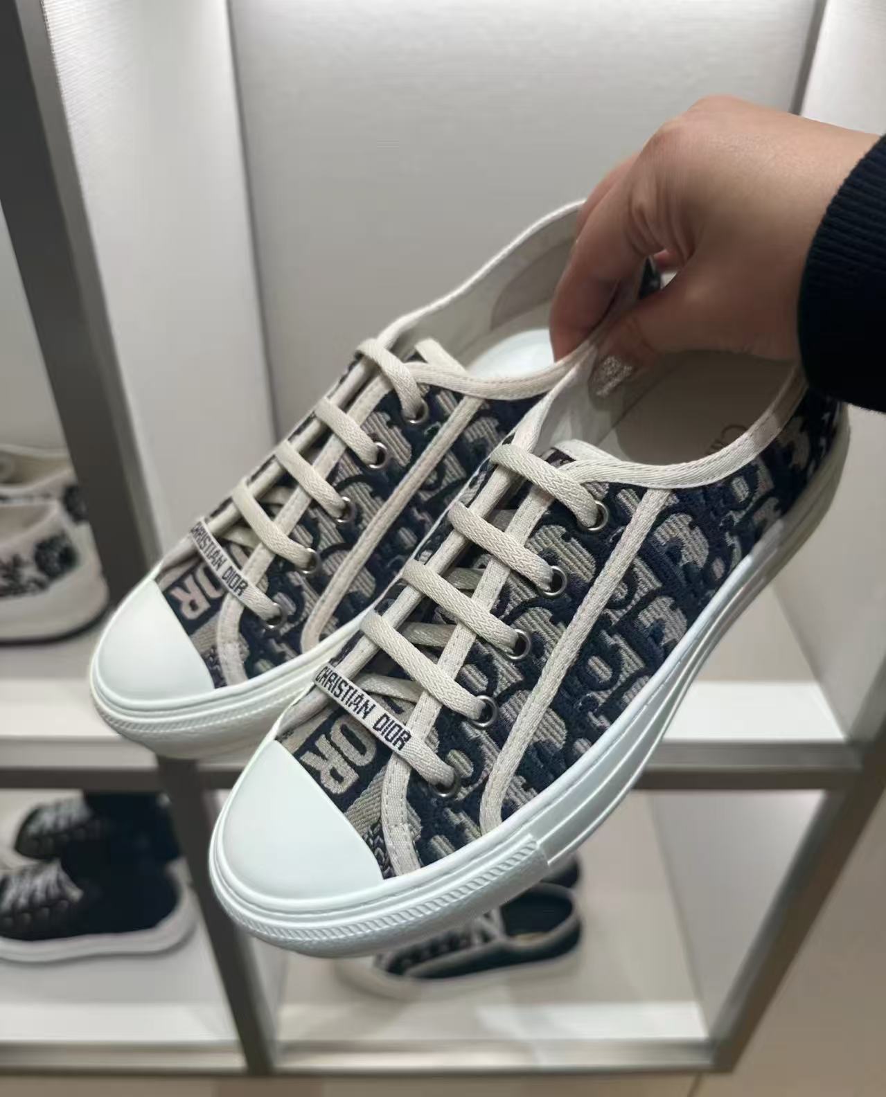 Dior Walk'n'Dior Sneaker Stone Gray Oblique Embroidered Cotton