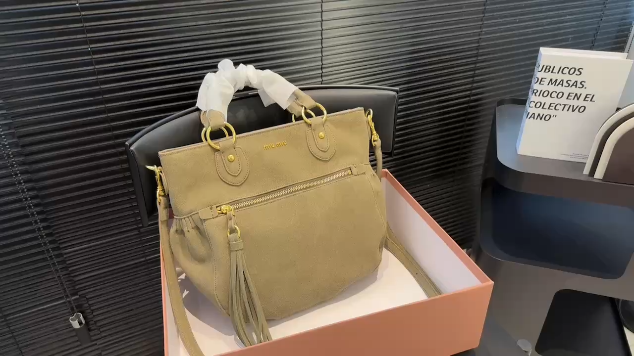 Miu Miu handbag
