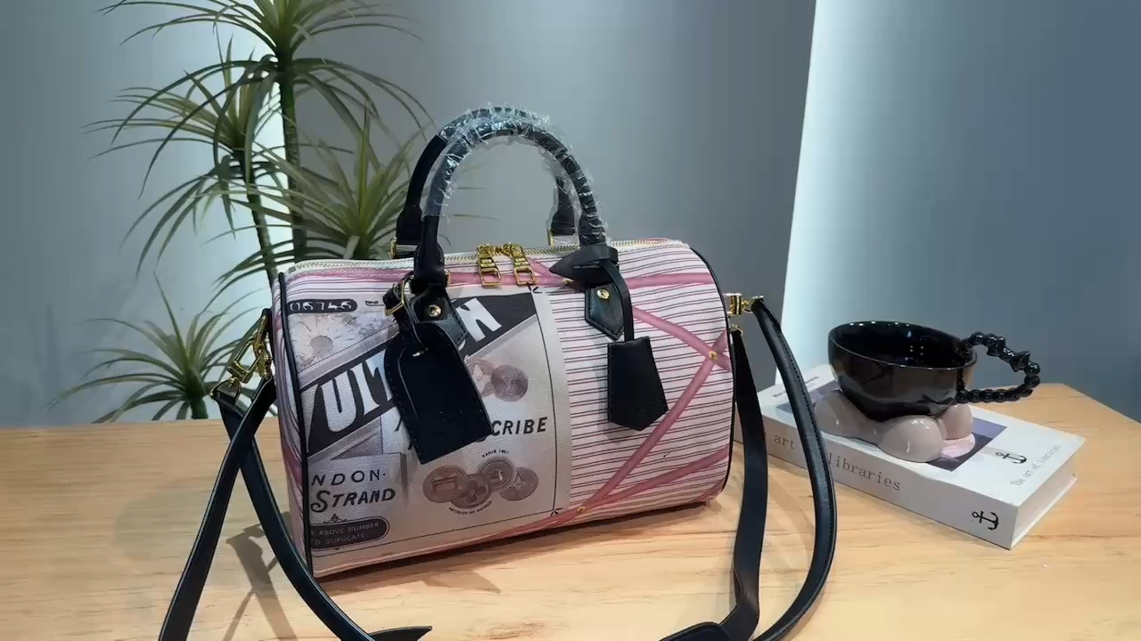 LV Monogram Pillow Bag