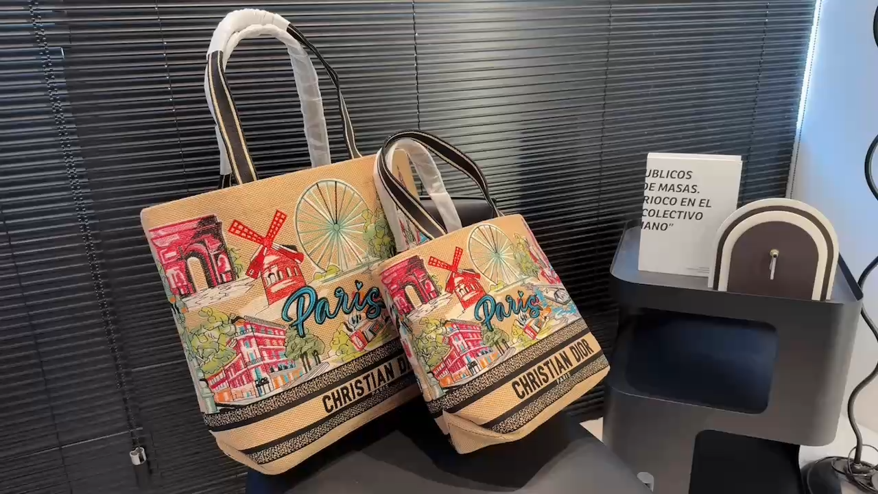 Dior Souvenir Travel Bag