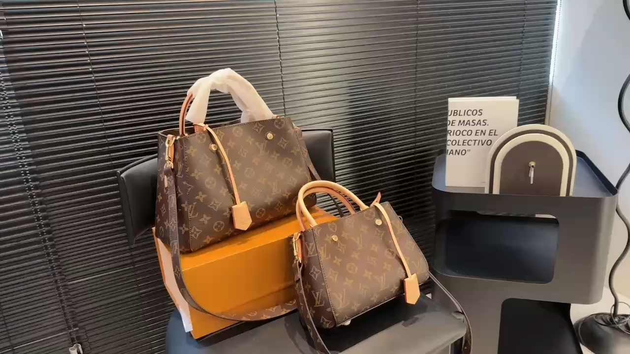 LV Montagne Bag