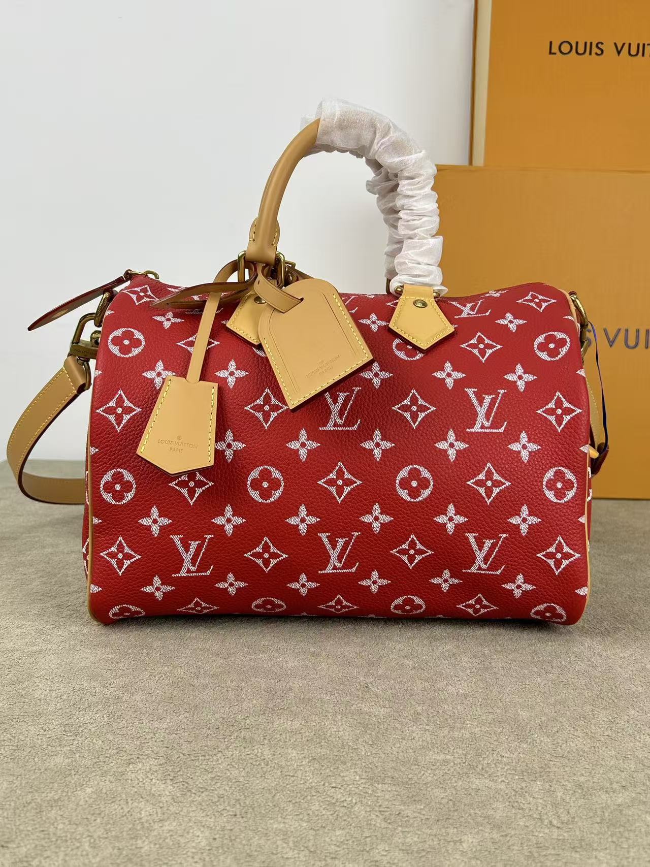 LV Speedy P9 Shoulder Bag 30 (Top Quality)
