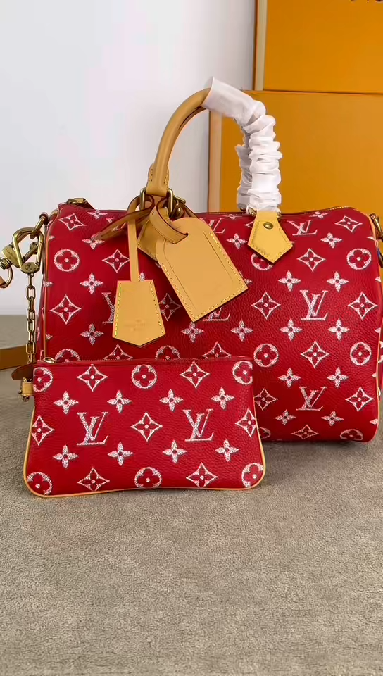 LV Speedy P9 Shoulder Bag 30 (Top Quality)