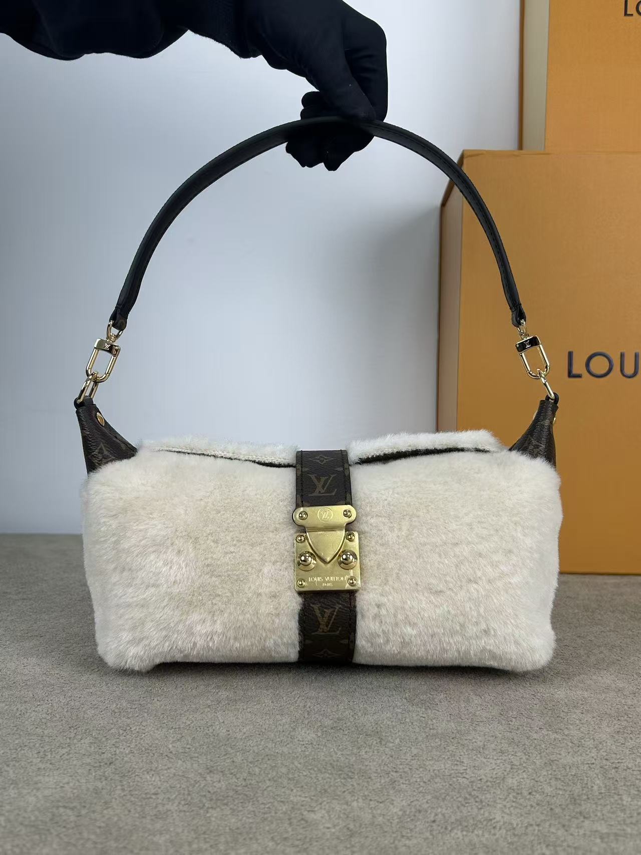 LV Monogram Bag