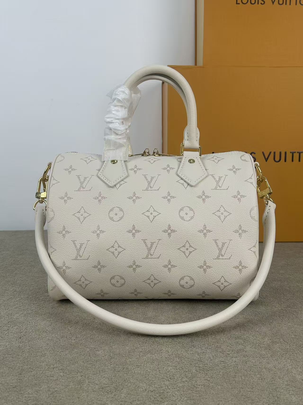 LV Speedy Bandoulière 25 Handbag