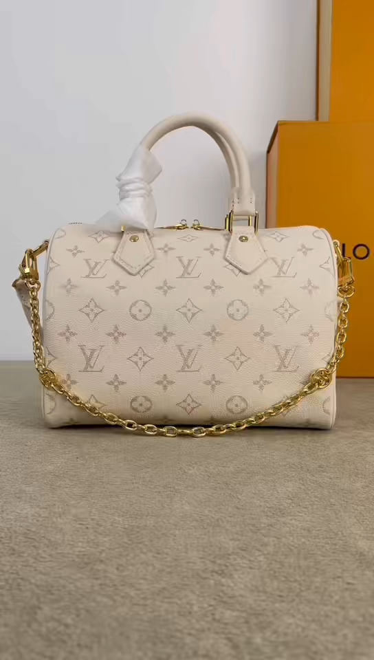 LV Speedy Bandoulière 25 Handbag