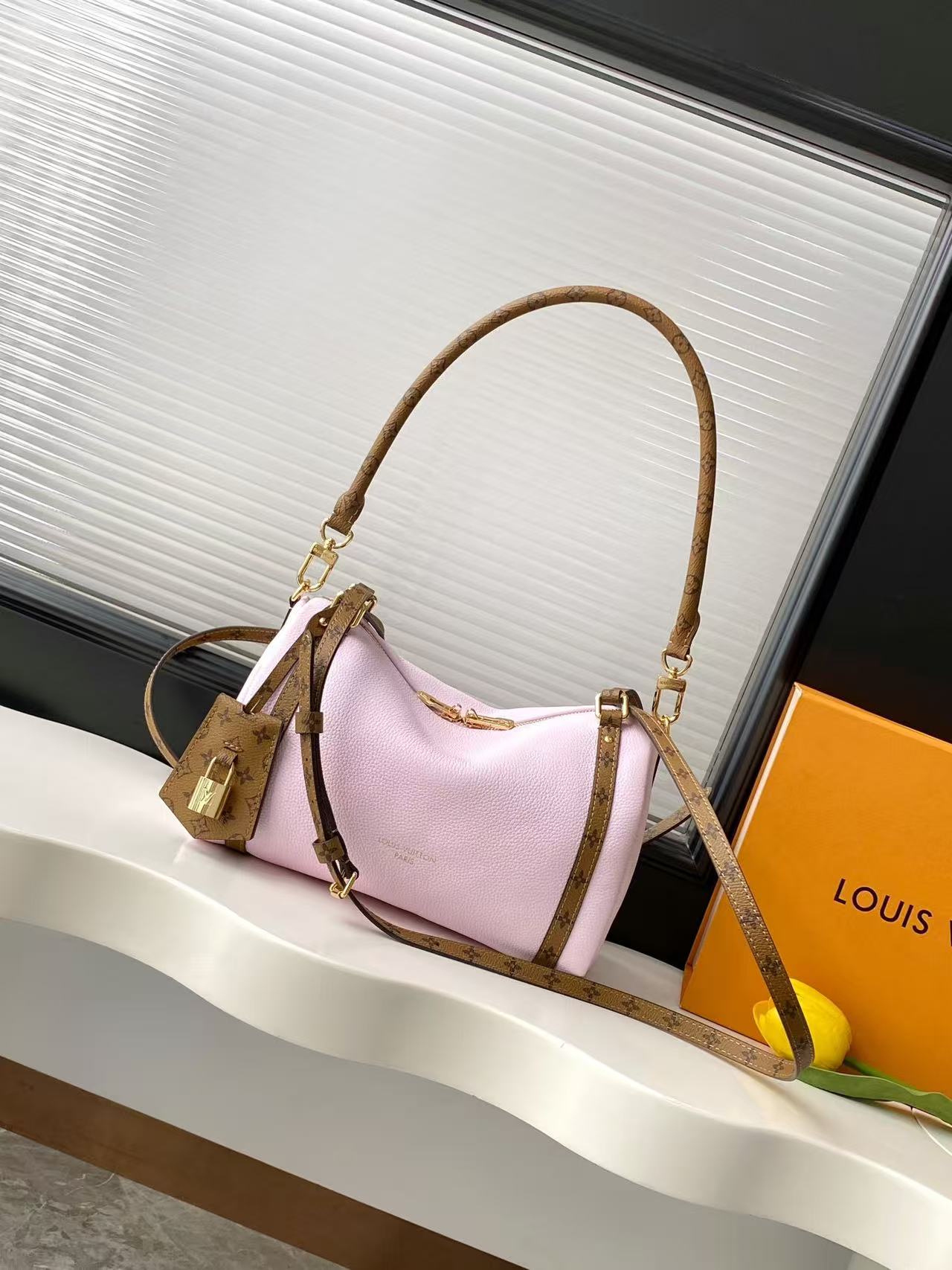 LV Express Small Handbag