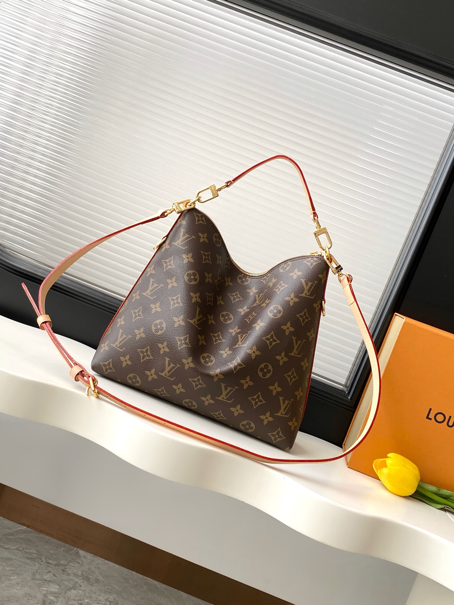 LV Multipass Monogram Handbag