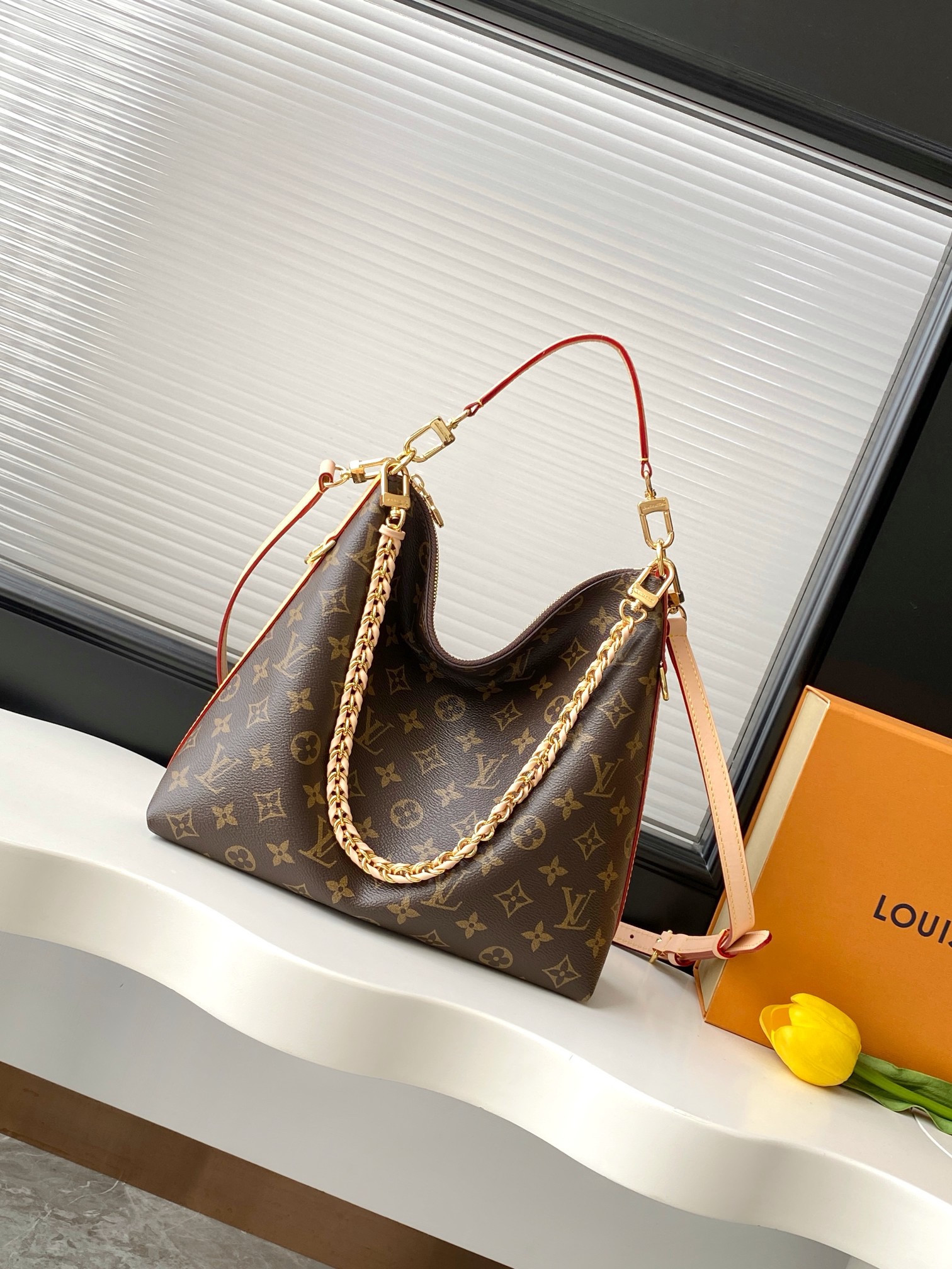 LV Multipass Monogram Handbag
