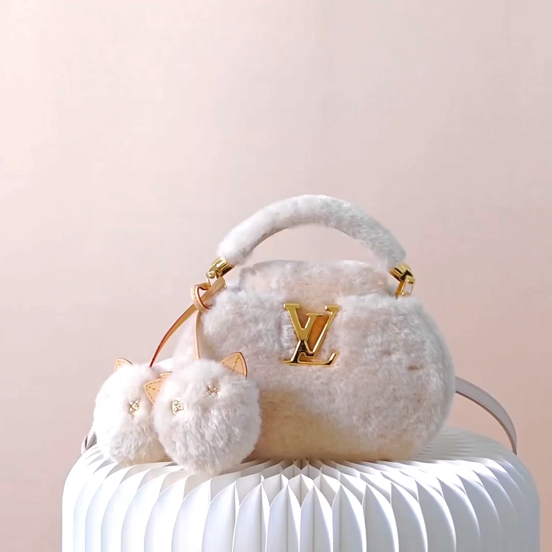 LV Capusnow Bag (Top Quality)