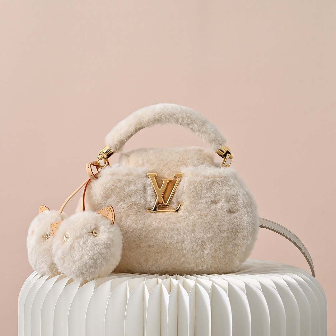 LV Capusnow Bag (Top Quality)