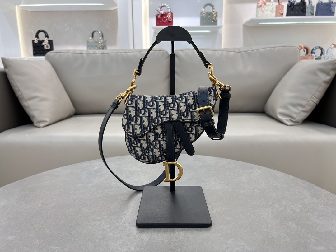 Dior Mini Saddle Bag - 10A Version