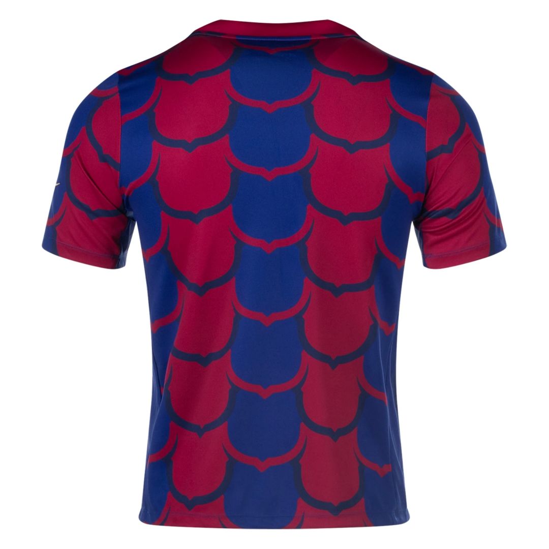 Barcelona Pre Match Training Special Edition Jersey 23/24