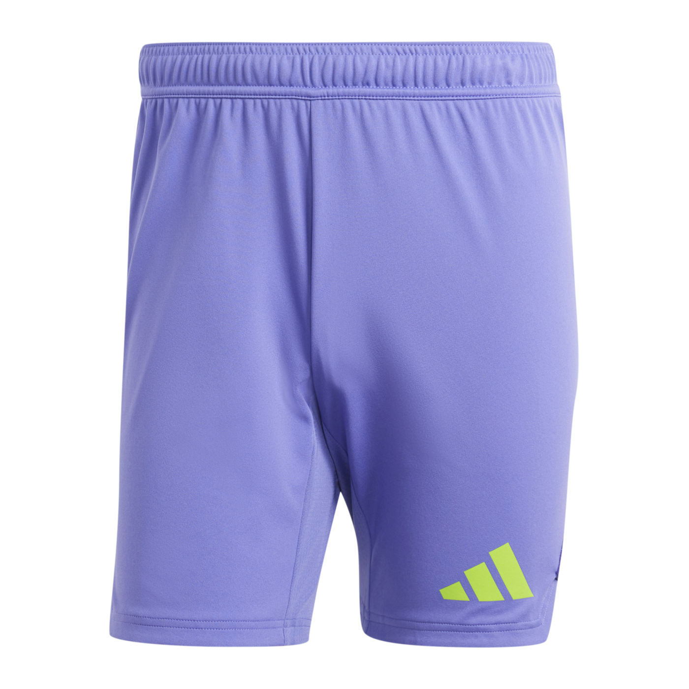 Manchester United Goalkeeper Shorts 2024/25