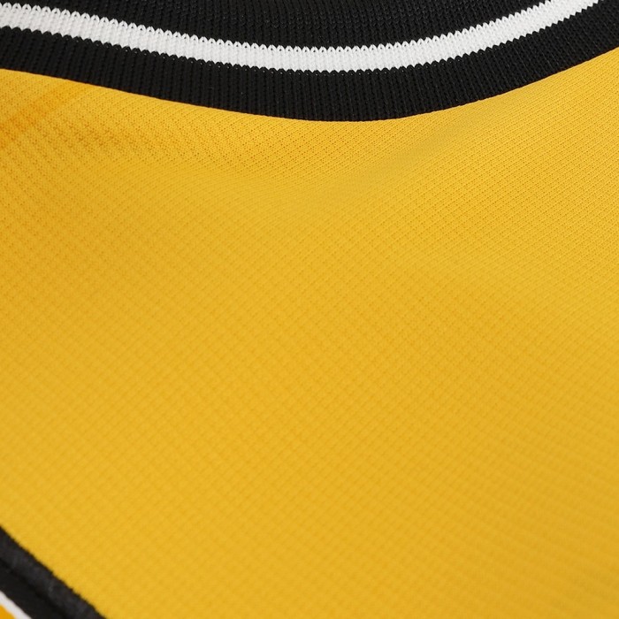 Wolverhampton Wanderers Home Jersey 24/25