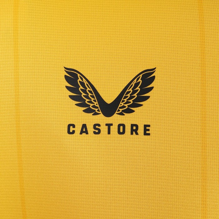 Wolverhampton Wanderers Home Jersey 24/25