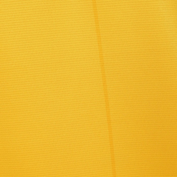 Wolverhampton Wanderers Home Jersey 24/25