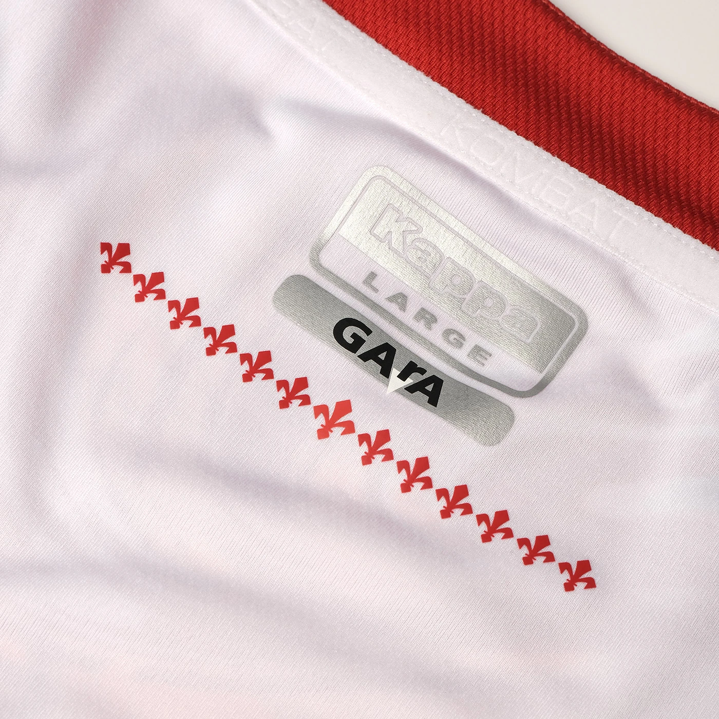 Fiorentina Vierde Jersey 23/24