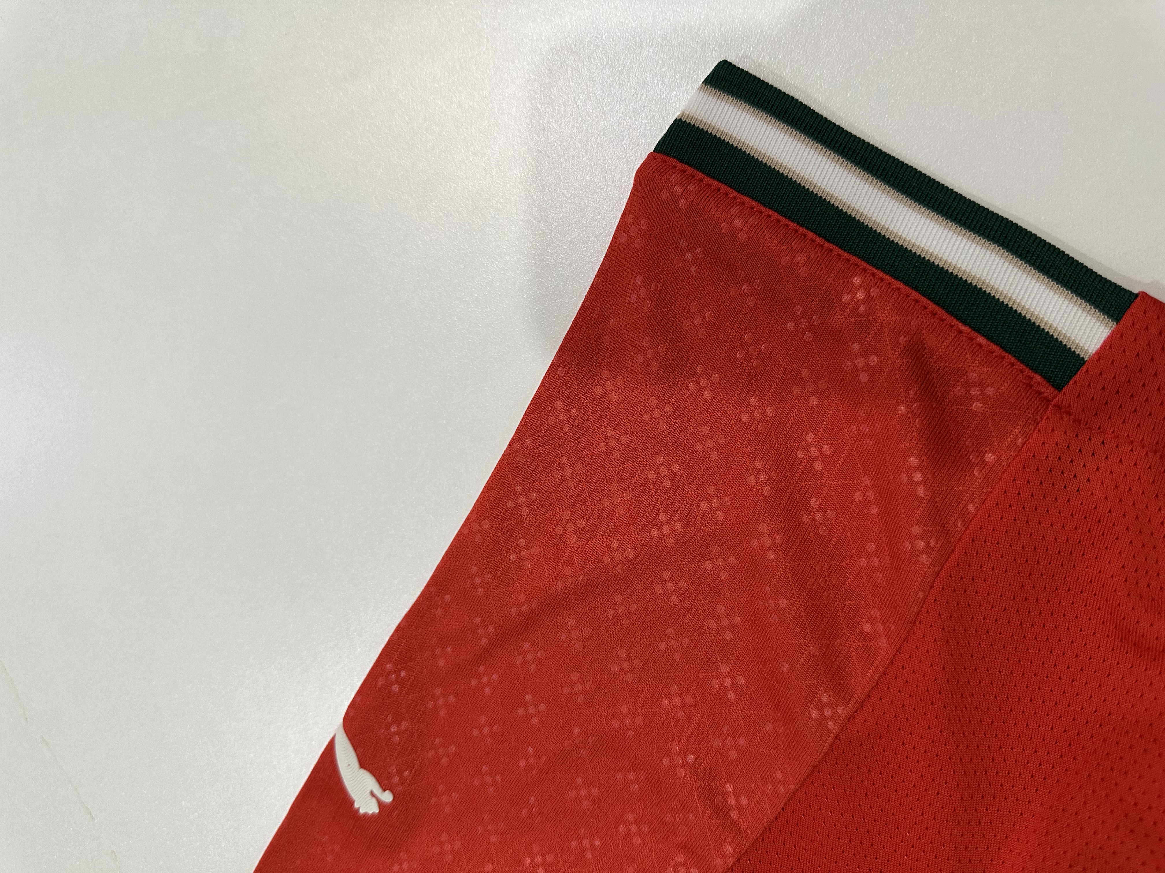 Portugal  Player Version Home Jersey 2025/26