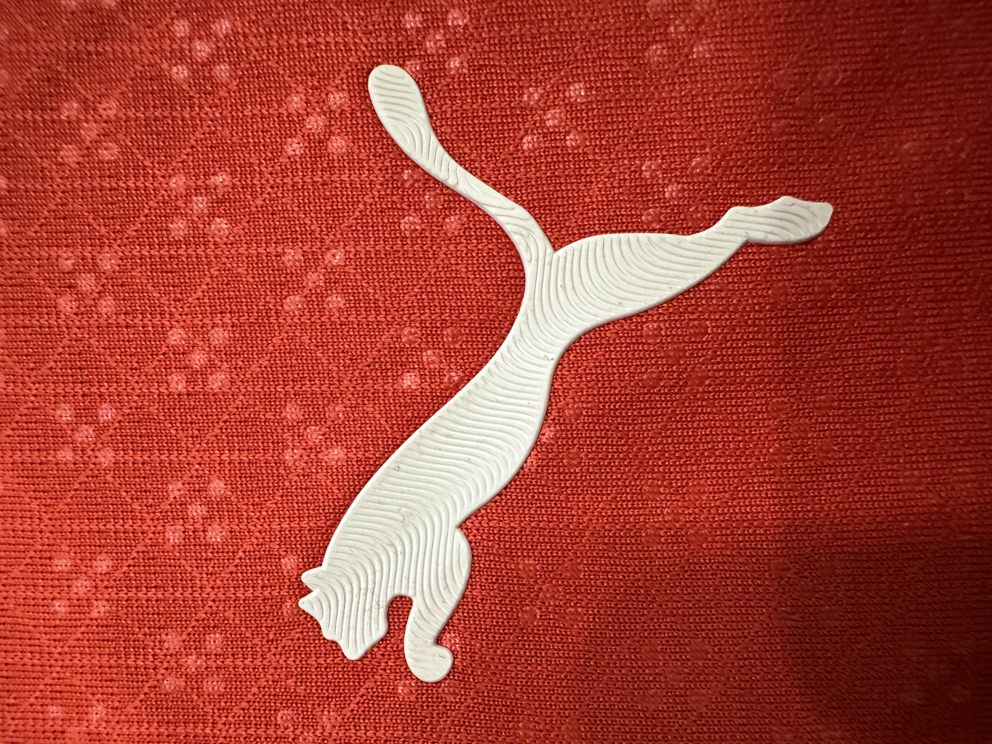 Portugal  Player Version Home Jersey 2025/26