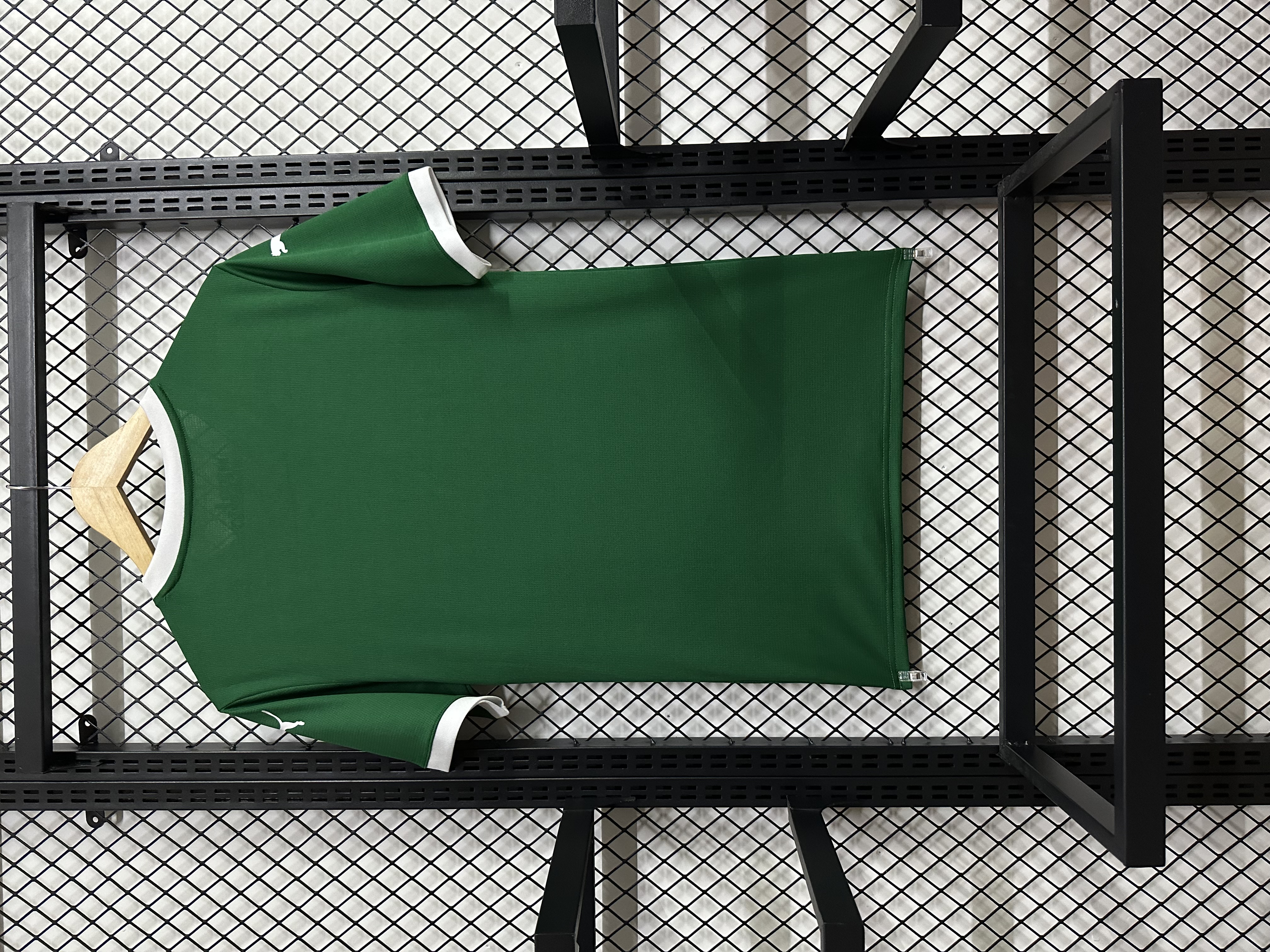 SE Palmeiras Home Jersey 2025/26
