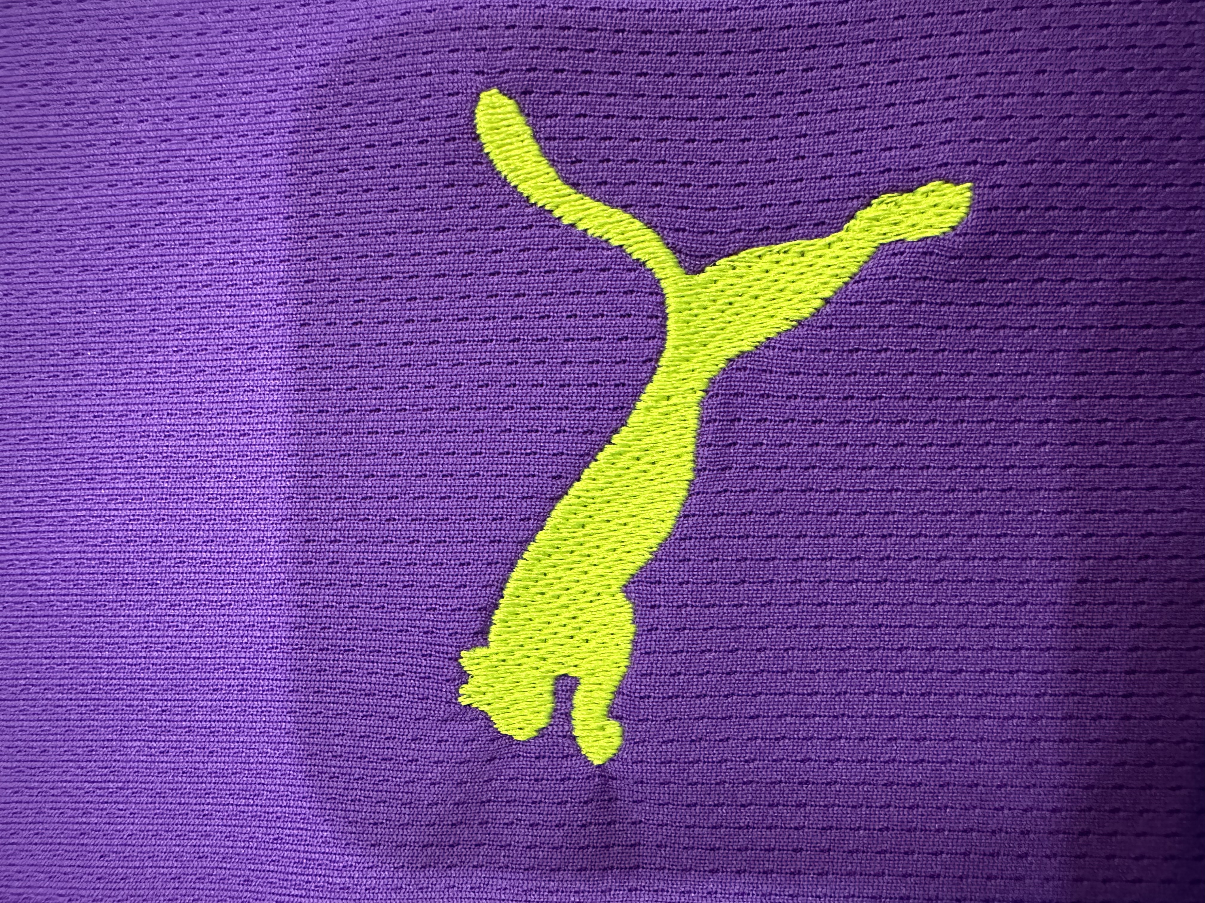 Borussia Dortmund   goalkeeper Jersey 2025/26