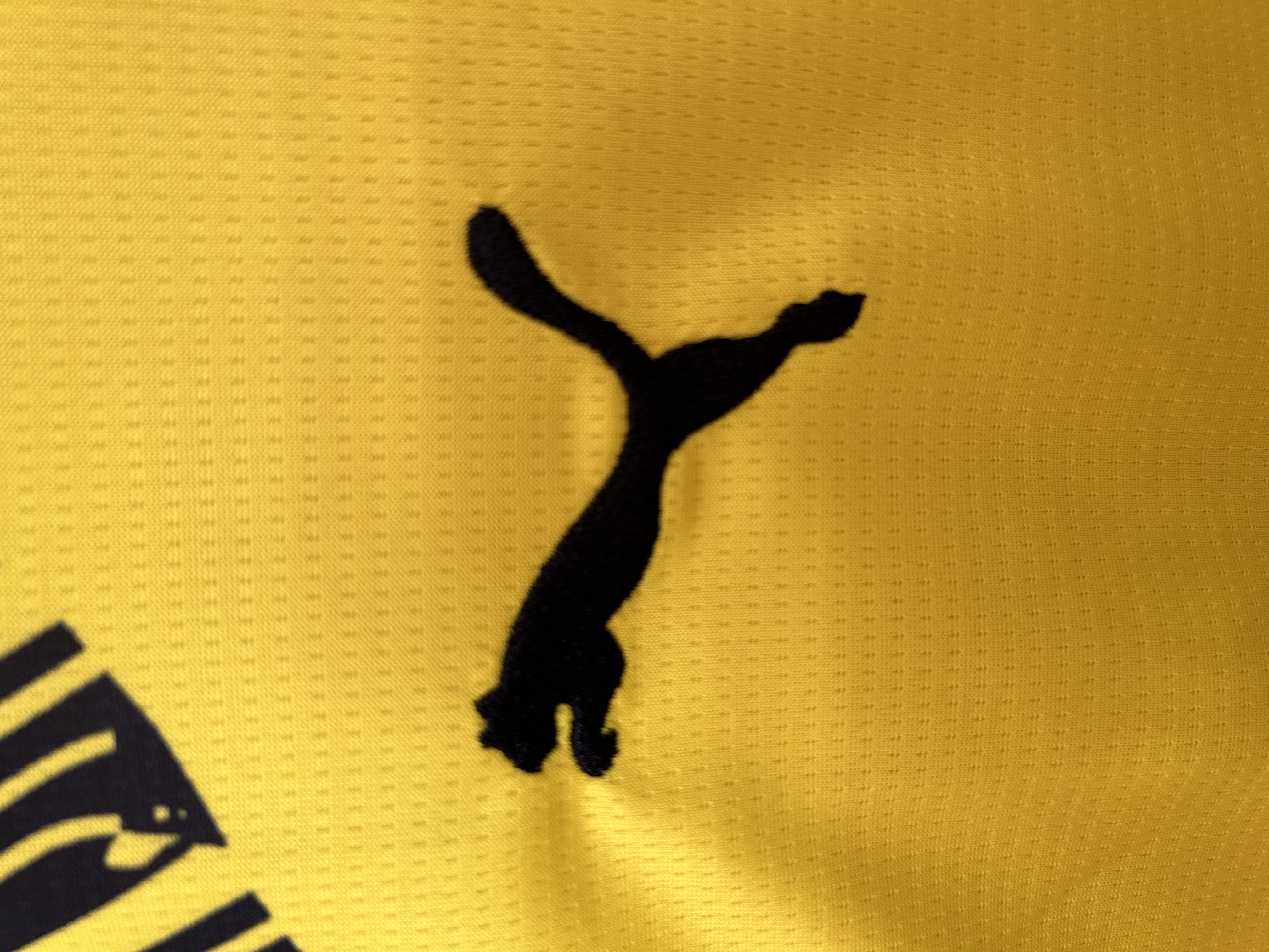 Borussia Dortmund   Home Jersey 2025/26