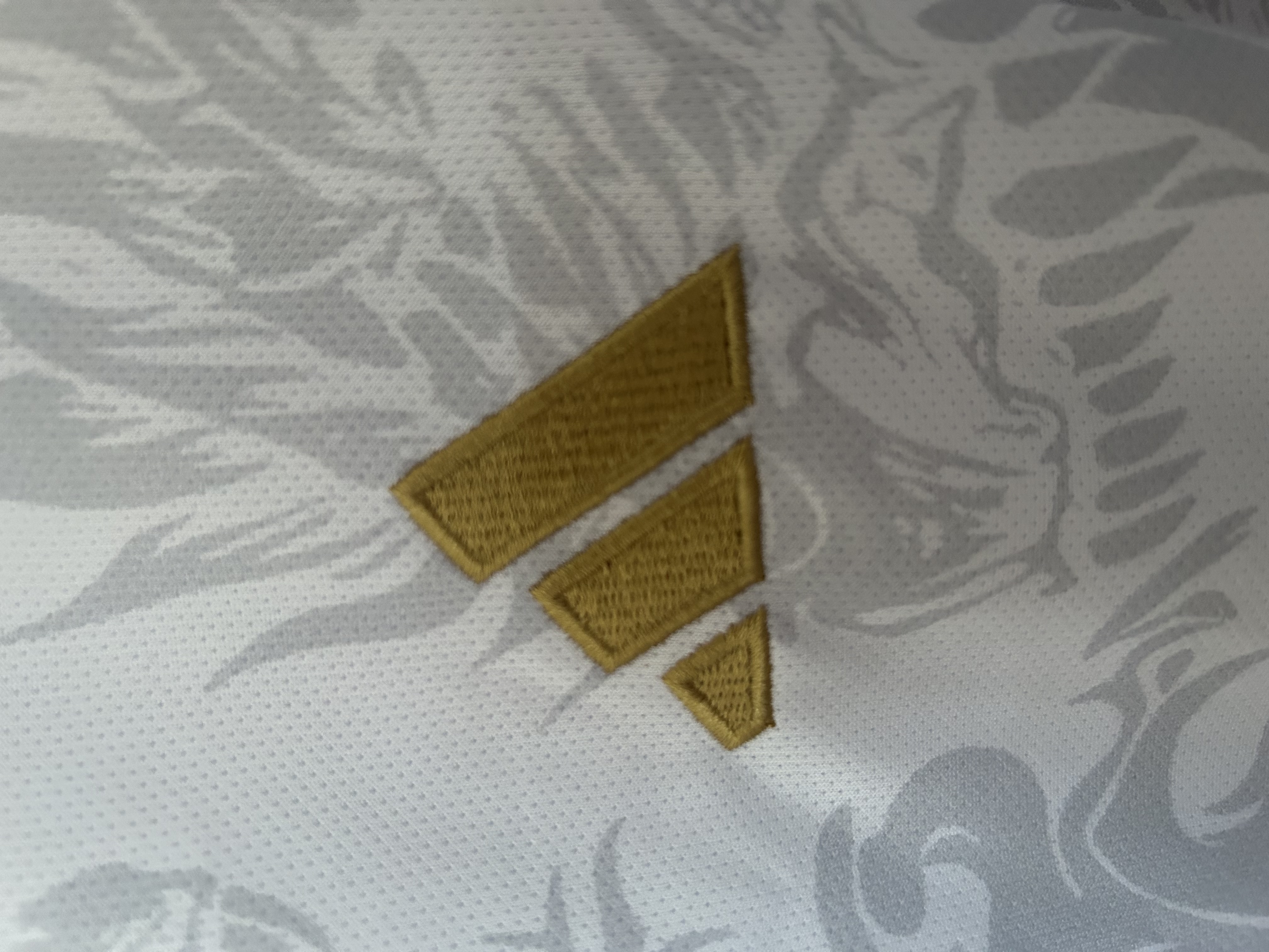 Real Madrid  Special Edition Jersey 25/26