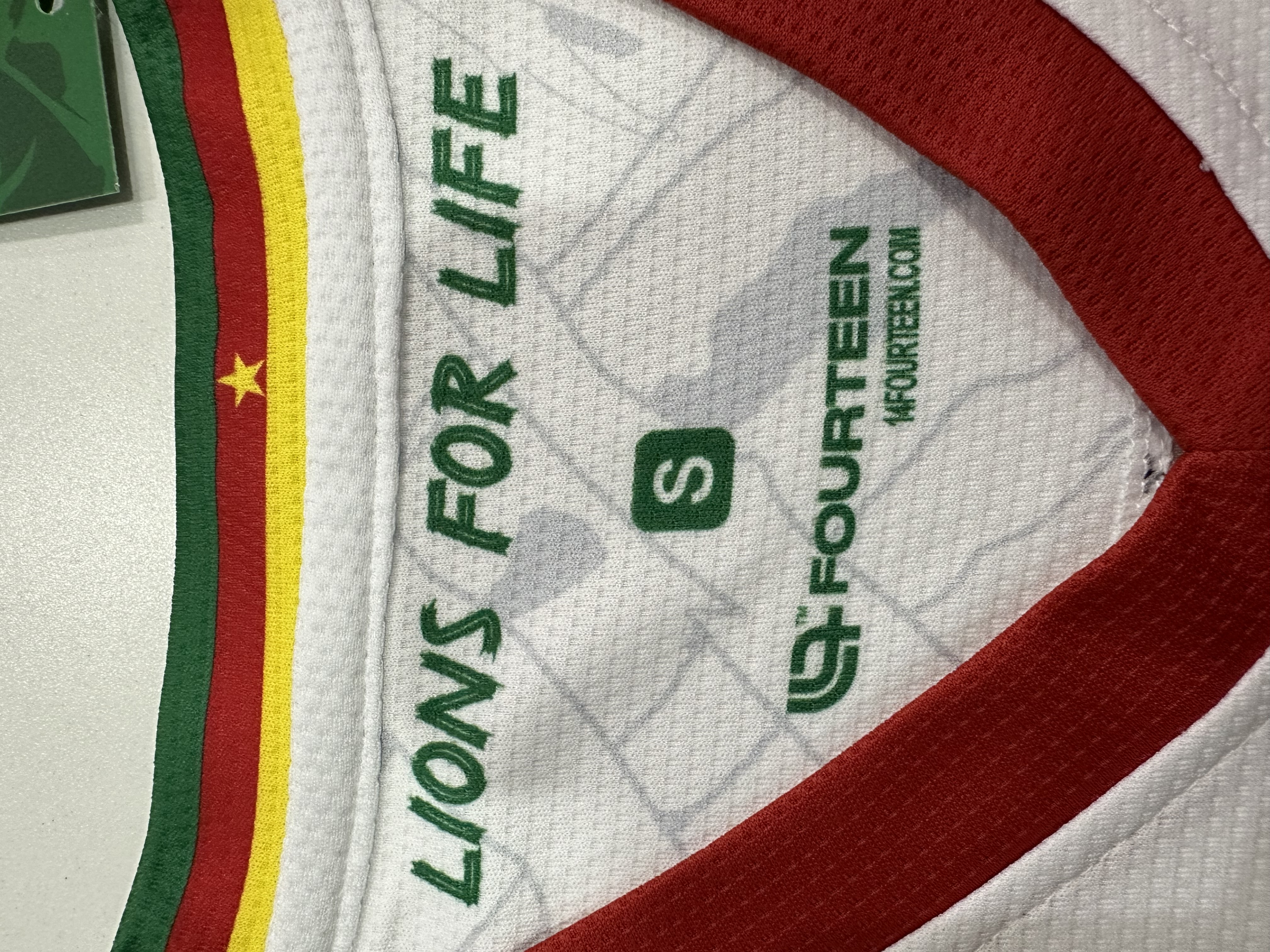 Cameroon  Away Jersey 2025/26