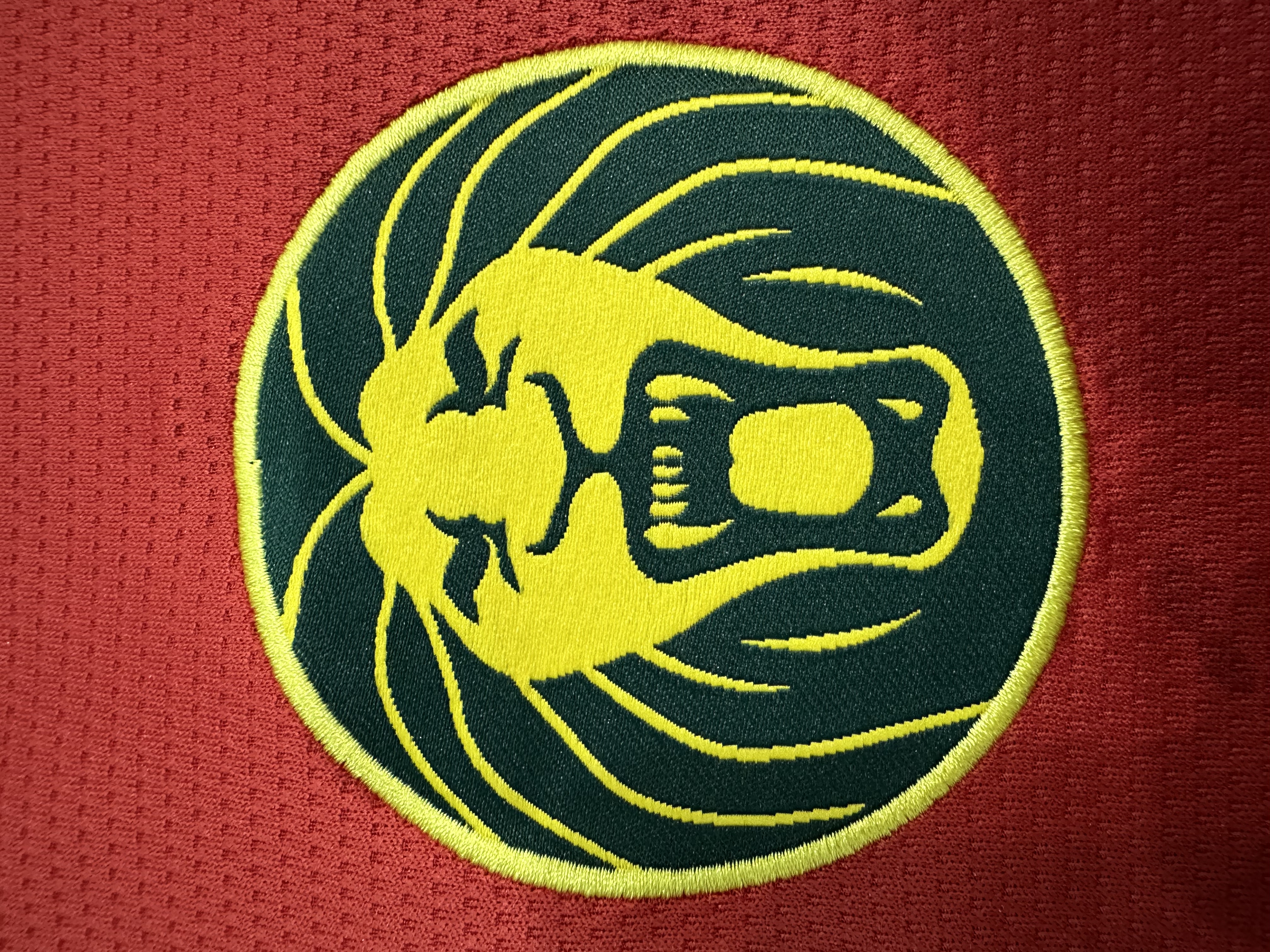 Cameroon  Third Jersey 2025/26