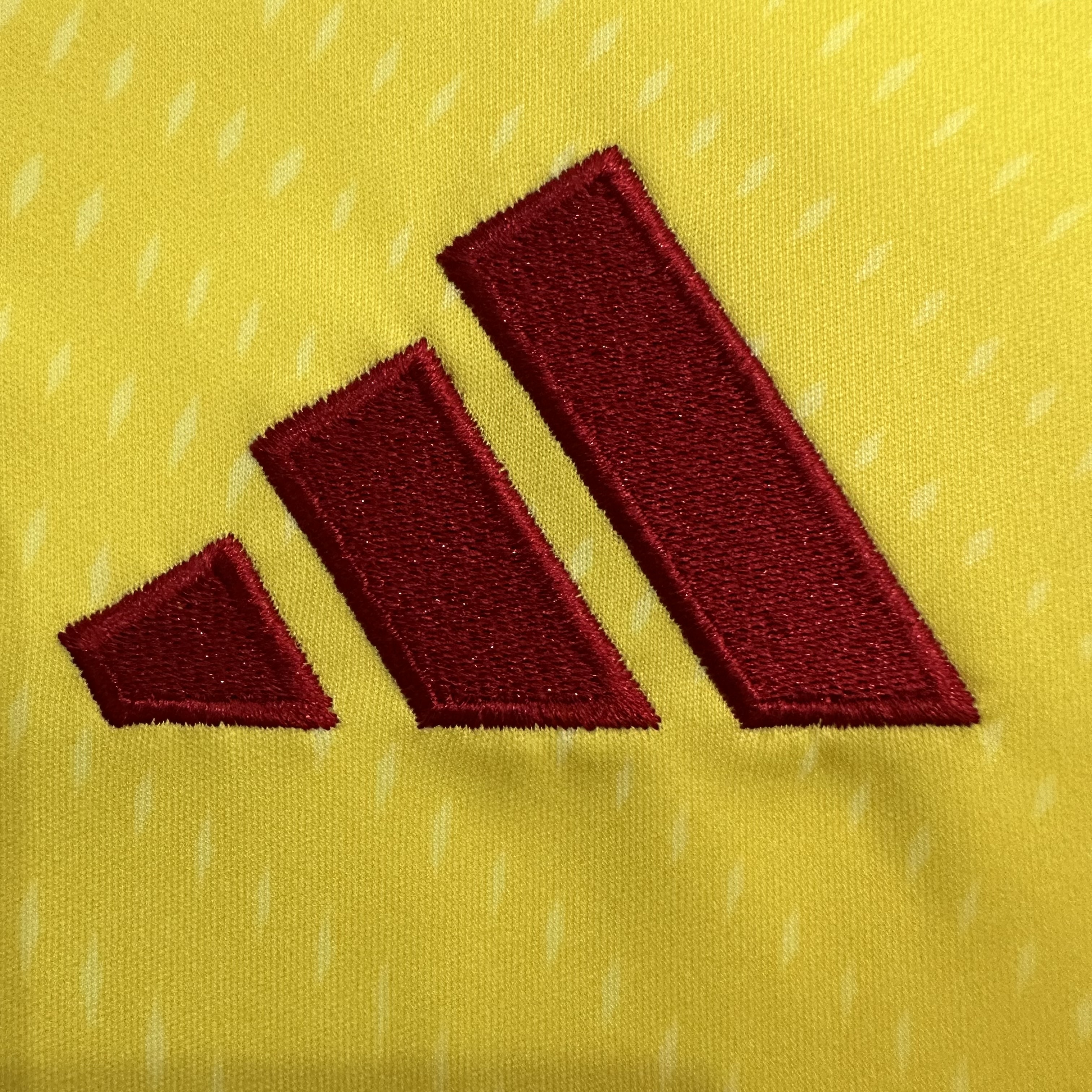 Celtic  Goalkeeper Jersey 2025/26