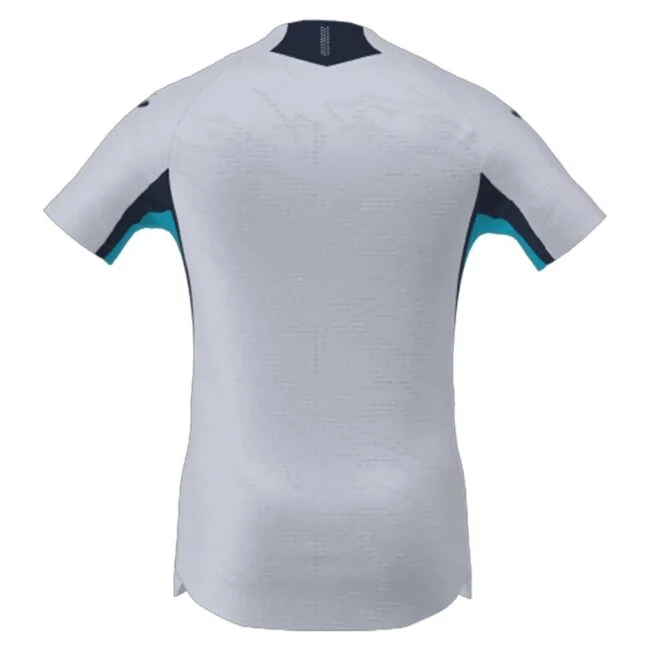 Hoffenheim Third Jersey 2025/26