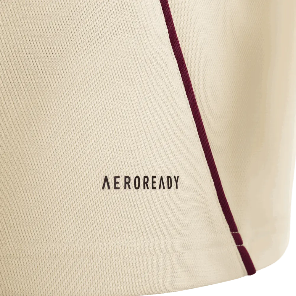 Ajax Third Jersey 2025/26