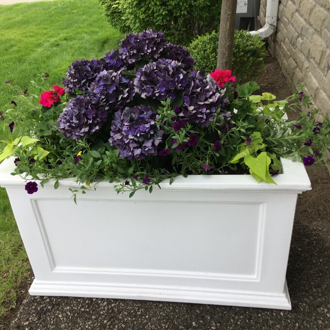 【Home&Garden】Anastasiya Self Watering Plastic Planter Box