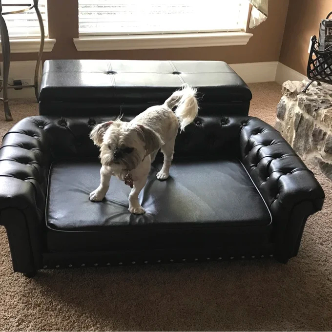 【Pet】Larock Dog Sofa