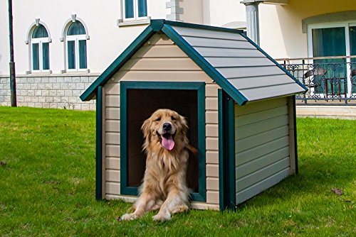 【Pet】Bunk Style Dog House