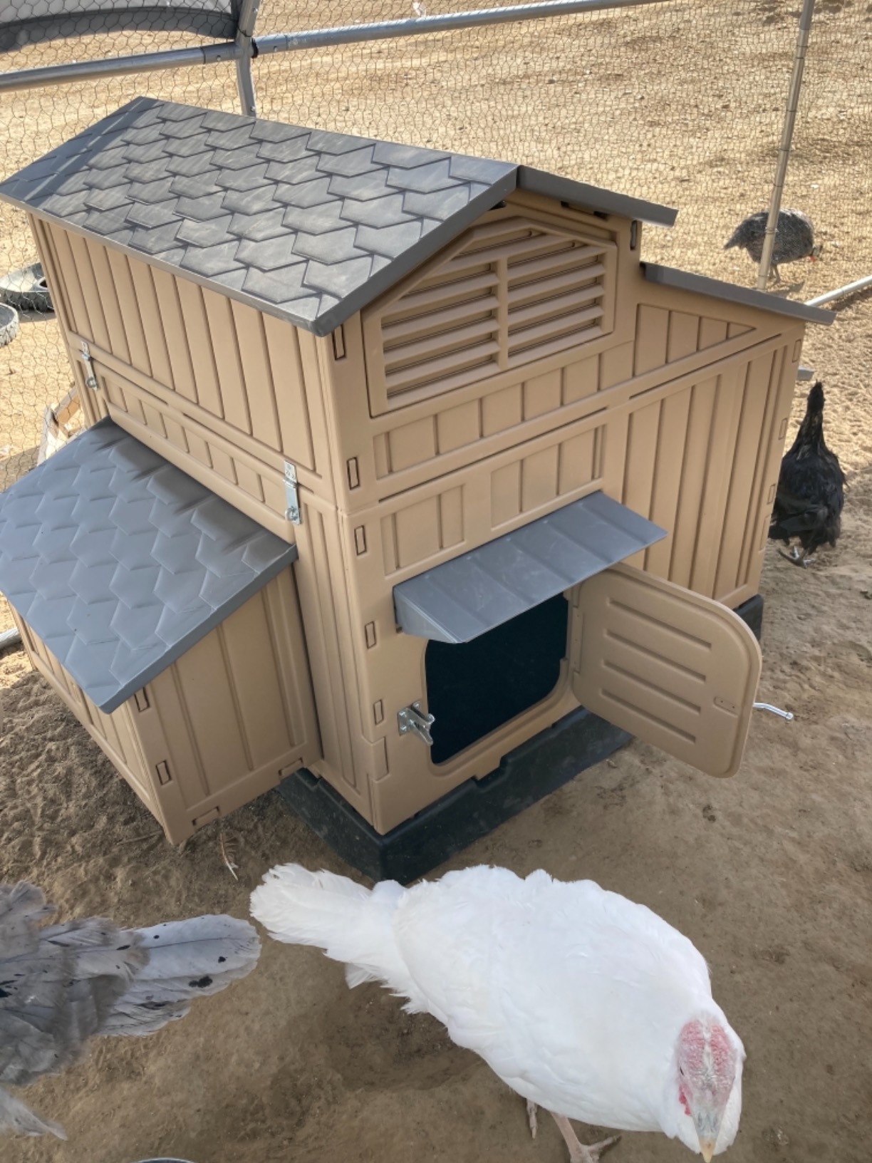 【Pet】Large Chicken Coop Backyard Hen House 4-6 Large 6-12 Bantams