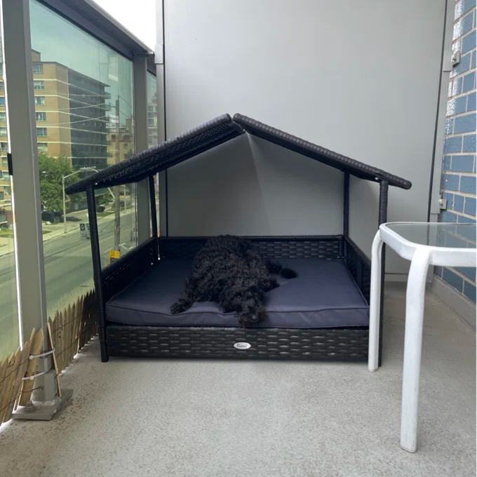 【Pet】Lollis Outdoor Wicker Cot Dog Bed