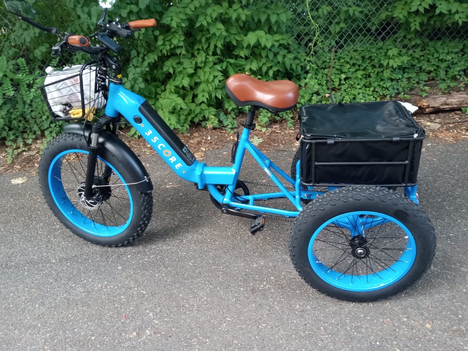 Electric Fat Trike 750W Motor & 48V Lithium Rechargeable Battery - Etrike 24 Inch Fat Tire