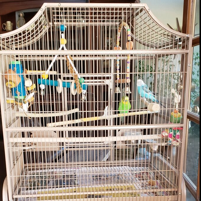 【Pet】Elinor 55'' Iron Victorian Top Floor Bird Cage with Wheels