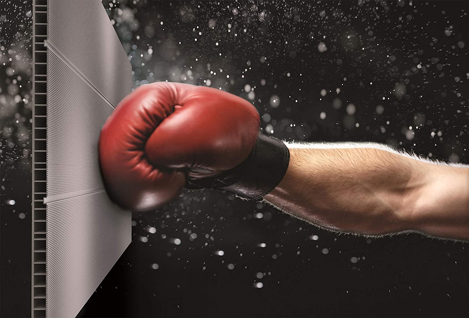 7.5 x 7 ftKeter Premier Outdoor Garden Storage Shed