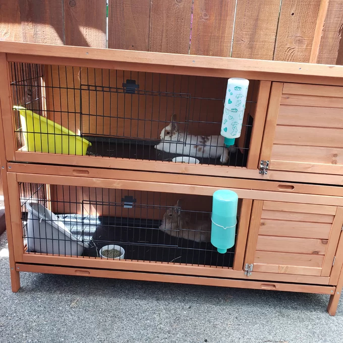 【Pet】Griffen Weather Resistant Hutch