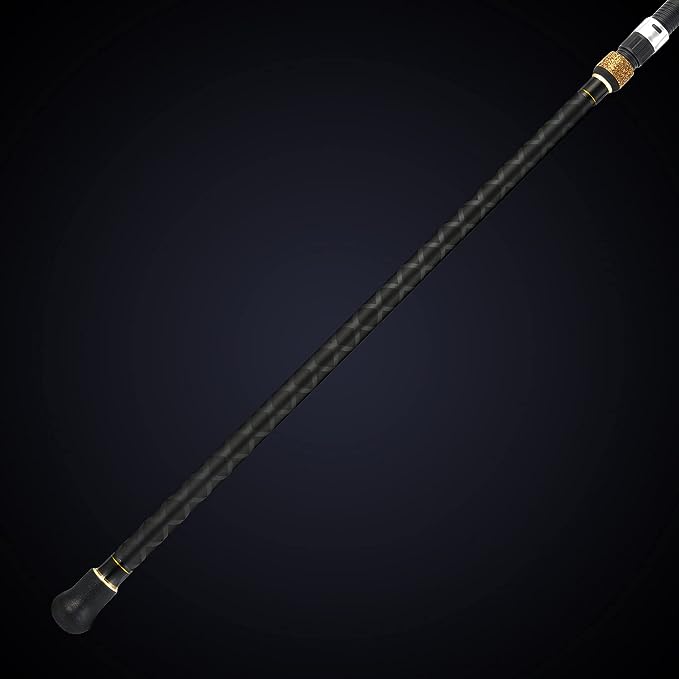 BERRYPRO surf spinning fishing rod graphite spinning rod