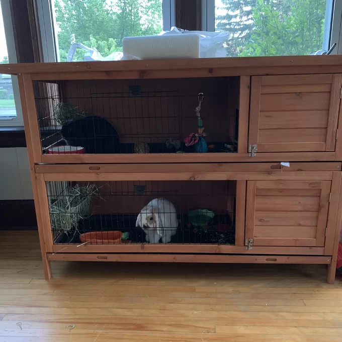 【Pet】Griffen Weather Resistant Hutch