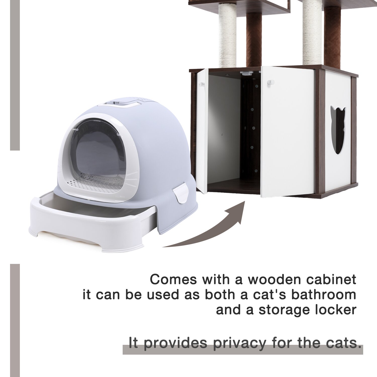 【Pet】59