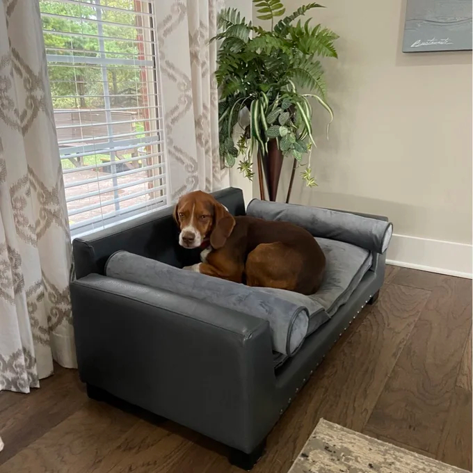 【Pet】Oberle Dog Sofa