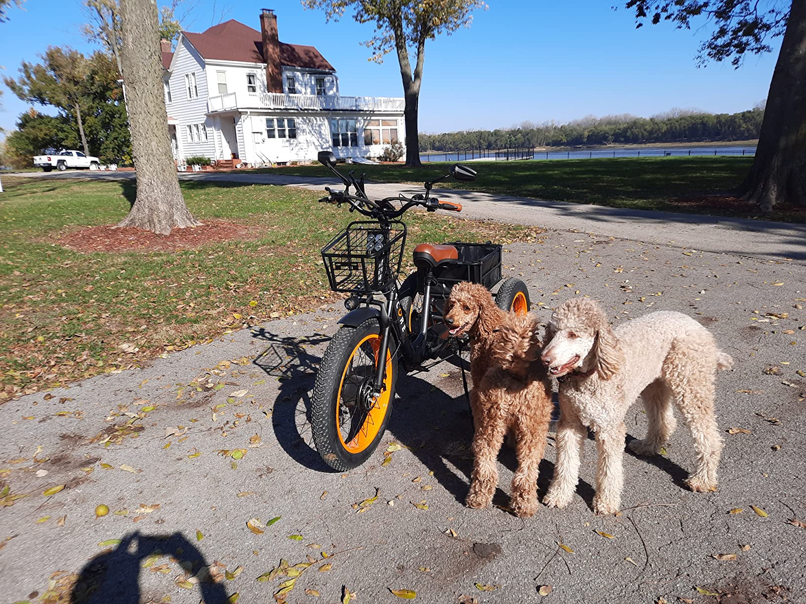 Electric Fat Trike 750W Motor & 48V Lithium Rechargeable Battery - Etrike 24 Inch Fat Tire